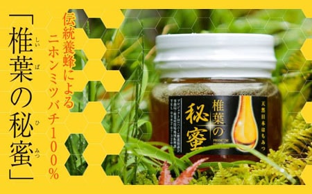 椎葉の秘蜜 日本ミツバチより採取 宮崎県 椎葉村特産品 物産販売 アンテナショップ椎葉村里人倶楽部 アンテナショップ椎葉村里人倶楽部 椎葉村特産品 物産販売 大阪府枚方市