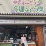 交野市のぶどう園1