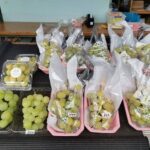 交野市のぶどう園2