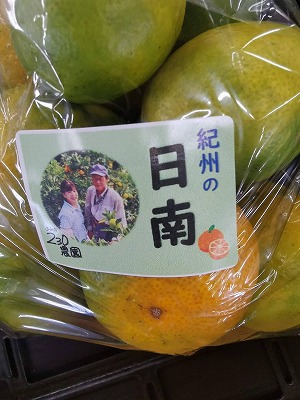 和歌山のみかん4