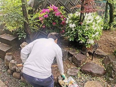 初夏の陽気と雨4