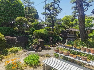 枚方の農家さん4