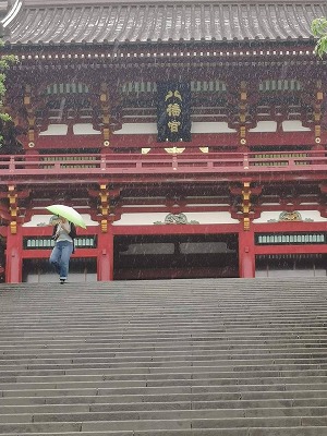 鎌倉八幡宮1