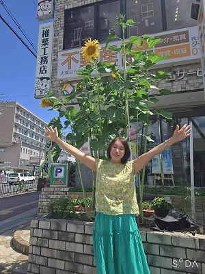 ひまわりと哉子代表
