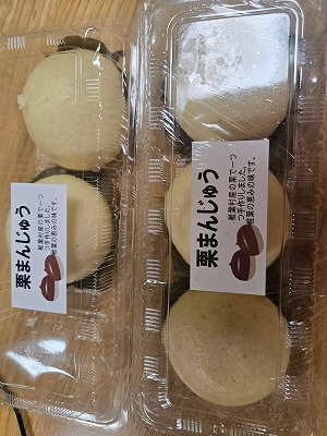 椎葉村の栗まんじゅう