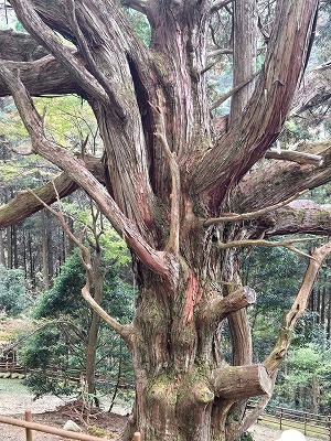 椎葉村ツアー初日3