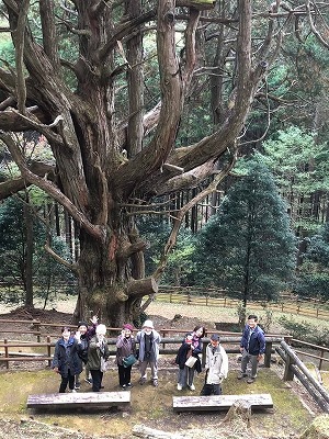 椎葉村の旅1
