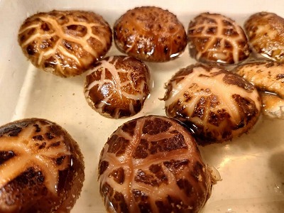 椎葉村のどんこ椎茸1