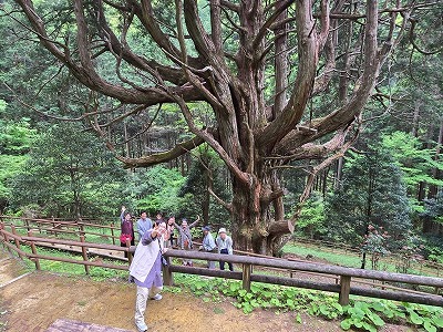 椎葉村ツアー初日2